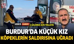 Burdur’da sokak köpekleri küçük kıza saldırdı