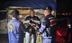 Küçükbaş hayvan çalan 4 kişiyi JASAT yakaladı