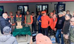 Mahsullerini korumak isteyen üreticiler domuzlarla mücadele ediyor