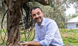 Manavgat Zeytin ve Zeytinyağı Festivali’nin ikincisi 8 Kasım’da başlıyor