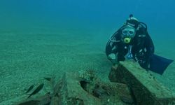 Profesör deniz dibinde taşlardan balıklara yuva yaptı: 12 tür barış içinde yaşıyor