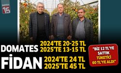 Söğüt Domatesini  kara günler bekliyor