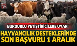 Burdurlu Yetiştiricilere Uyarı: Hayvancılık Desteklerinde Son Başvuru 1 Aralık