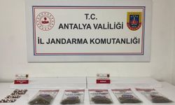 Alanya'da jandarmadan uyuşturucu operasyonu