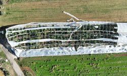 Antalya'da hortumun seralara verdiği zararın boyutu gün yüzüne çıktı