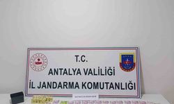 Antalya'da mahalle muhtarı kumar oynatırken yakalandı
