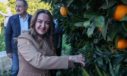 Başkan Vekili Özdemir: 'Finike'nin ihtiyaçları doğrultusunda çalışmalarımızı yapıyoruz'