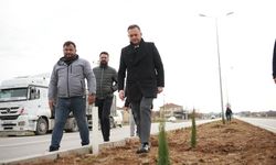 Çivril'de peyzaj çalışmaları devam ediyor