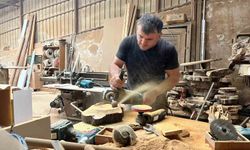 Çürümüş zeytin ağaçlarını sanat eserine dönüştürüyor