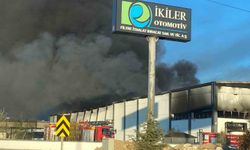 Denizli'de filtre fabrikasını alevler sardı