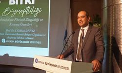 Dünyadaki 250 endemik bitki sadece Antalya'da yetişiyor