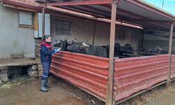 'Halk Elinde Anadolu Mandasının Islahı Projesi' devam ediyor