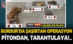 Burdur’da Şoke Eden Operasyon: Pitondan Tarantulaya Egzotik Canlılar Ele Geçirildi