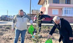 Şuhut İlçe Emniyet Müdürlüğü Hatıra Ormanı oluşturuldu