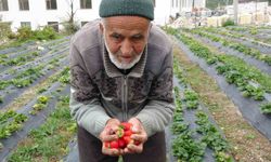 Türkiye onu yoldan geçenlere bahçesinden ikram ettiği meyvelerle tanıdı, bugün acı haber geldi