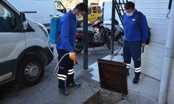 Vektörel mücadele çalışmaları devam ediyor