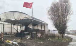 Balkondan düşen saksı az kalsın faciaya neden olacaktı