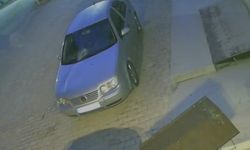 Buldan'da ağaçlar devrildi, bacalar uçtu