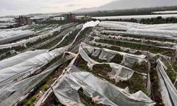 Finike'de hortumun verdiği hasar gündüz ortaya çıktı