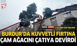 Burdur'da Fırtına Çam Ağacını Çatıya Devirtti