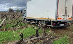 Sabıkalı yolda kamyon üzüm bağına girdi