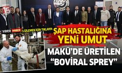MAKÜ’de üretilen “Boviral Sprey” Şap hastalığına umut oldu
