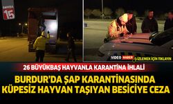 Burdur'da Şap Karantinasında Küpesiz Hayvan Taşıyan Besiciye Ceza