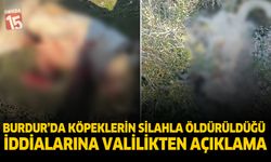 Burdur'da köpeklerin silahla öldürüldüğü iddialarına valilikten açıklama