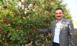 ITB Başkanı Hüdai Şahin ilaç kalıntısı haberlerine açıklık getirdi