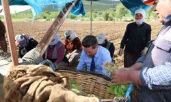 Başkan Tatık'tan tütün firmalarına 'Alım takvimi açıklayın' çağrısı