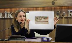 Başkan Vekili Özdemir: 'Altıntaş'a çok önemli yatırımlar yapıldı'