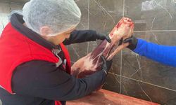 Gıda işletmelerine yönelik denetimler sürüyor