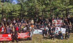 İzciler doğayla buluştu