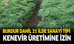 Burdur Dahil 21 İlde Sanayi Tipi Kenevir Üretimine İzin