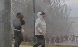 Şelale şiddetli rüzgarla tersine çağladı, denizin rengi kahverengiye büründü