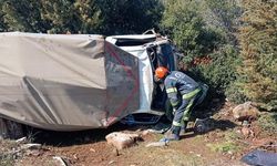 Tavas'ta devrilen kamyonet içerisinde mahsur kalan 2 kişi ve 10 küçükbaş sağ kurtuldu