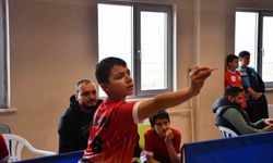 Yıldız Erkekler Dart Şampiyonası tamamlandı