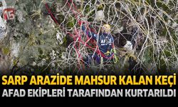 Burdur'da Sarp Arazide Mahsur Kalan Keçi AFAD Ekiplerince Kurtarıldı