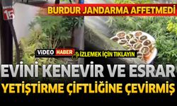 Burdur Jandarma Affetmedi: Evini Kenevir ve Esrar Yetiştirme Çiftliğine Çevirmiş