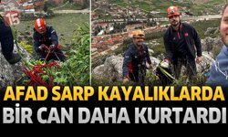 AFAD Sarp Kayalıklarda Bir Can Daha Kurtardı