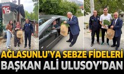 Ağlasunlu'ya Sebze Fideleri Başkan Ali Ulusoy'dan