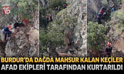 Burdur’da Dağda Mahsur Kalan Keçiler AFAD Ekipleri Tarafından Kurtarıldı