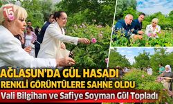 Ağlasun’da Gül Hasadı Renkli Görüntülere Sahne Oldu