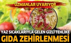 Yaz Aylarında Gıda Zehirlenmelerine Karşı Uzmanlardan Uyarı