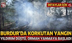 Burdur’da Korkutan Yangın: Yıldırım Düştü, Orman Yanmaya Başladı!