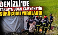 Denizli'de Tarlaya Uçan Kamyonetin Sürücüsü Yaralandı