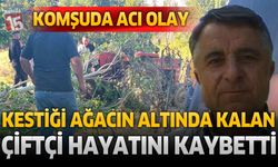 Komşuda Acı Olay: Kestiği Ağacın Altında Kalan Çiftçi Hayatını Kaybetti