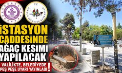 Burdur’da Ağaç Kesimi Öncesi Valilik ve Belediyeden Peş Peşe Açıklama