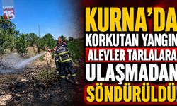 Kurna’da Korkutan Yangın: Alevler Tarlalara Ulaşmadan Söndürüldü!