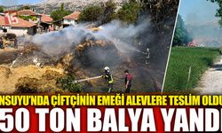 İnsuyu’nda Çiftçinin Emeği Alevlere Teslim Oldu: 50 Ton Balya Yandı